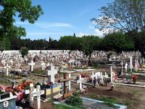 Catálogo Flores de Funeral en Jaén