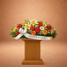 Centro Funerario Homenaje de Colores | Envío Tanatorio